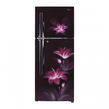 LG 260 L 2 Star Smart Inverter Frost-Free Double-Door Refrigerator (GL-T292RPGY)