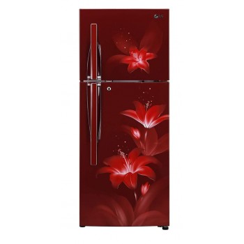  LG 260 L 2 Star Smart Inverter Frost-Free Double-Door Refrigerator (GL-T292RRGY)